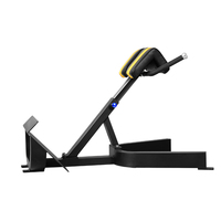 Machine d'extension de dos de chaise romaine de presse de banc d'équipement de gymnase de forme physique commerciale