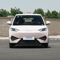 Offre Spéciale BYD 2025 Seagull Smart Driving Edition 305km Vitality Edition New Energy Vehicles Pure Electric