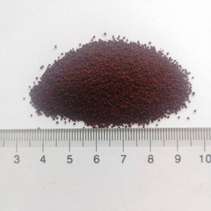 Engrais 100% soluble dans l'eau EDDHA Fe 6% Poudre Ortho 1.2 pour sols alcalins - Product Image 3