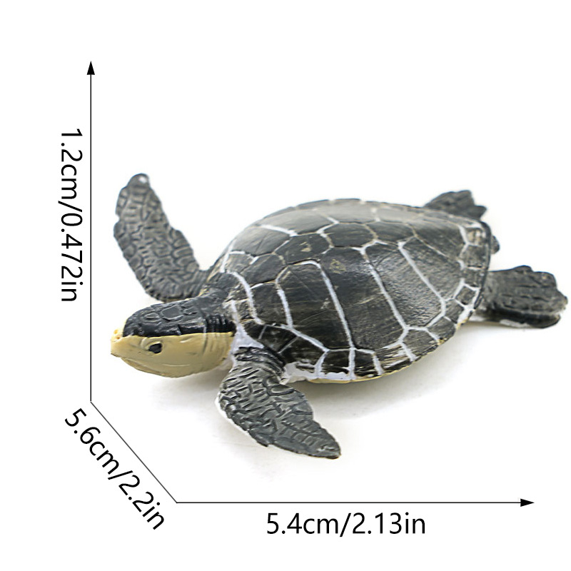 2043 tartaruga nera-95g