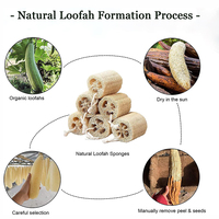 Éponge de douche en luffa naturelle Éponge de luffa biologique multifonctionnelle pour le nettoyage de la vaisselle ou le bain exfoliant