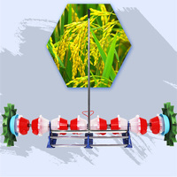 Machine à planter le riz pour usage agricole / Transplanteur de riz / Semoir à tambour pour riz
