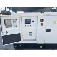Générateur diesel silencieux blanc triphasé 75 kVA 60 kW avec châssis ouvert, démarrage automatique, démarrage à distance, moteur Ricardo et ATS