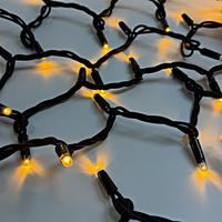 Gewerbliche Qualität IP65 Wasserdichte 24V 10M Gummikabel LED-Lichterkette für Außenbereich Feiertagsbeleuchtung Weihnachtsbaum-Lichter