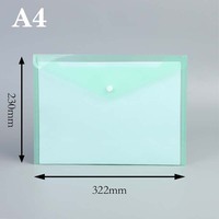 Bolsa de Almacenamiento de Archivos con Logotipo Personalizado, Transparente, Tamaño A4, con Hebilla, para Guardar Pruebas y Documentos