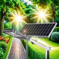 L'éclairage extérieur de jardin Ip67 de 12000 lumens allume 20 watts 30W 600W 1000W 100W 200W les lampes fendues ont mené le réverbère solaire avec le capteur