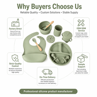 Bol à ventouse en silicone certifié FDA LFGB, sans BPA, pour bébé, ensemble repas enfant avec cuillère et fourchette, compatible lave-vaisselle, personnalisable OEM