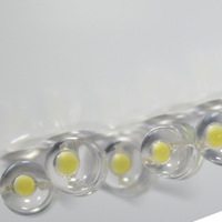 Diodes LED OEM d'usine 5 mm, type 'Straw Hat', à indice d'affichage élevé >95, lumière blanche, puces LED