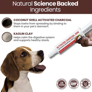 Gel de <span class=keywords><strong>charbon</strong></span> <span class=keywords><strong>actif</strong></span> <span class=keywords><strong>pour</strong></span> <span class=keywords><strong>chiens</strong></span>, <span class=keywords><strong>pour</strong></span> <span class=keywords><strong>les</strong></span> empoignées par des produits toxiques, premiers secours <span class=keywords><strong>pour</strong></span> <span class=keywords><strong>chiens</strong></span>, <span class=keywords><strong>charbon</strong></span> <span class=keywords><strong>actif</strong></span> à usage animal uniquement - Product Image 2