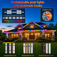Lumières décoratives de Noël permanentes sous le toit, 48 volts, pour l'extérieur de la maison, 20 mm, 6 LED, point lumineux pixelisé pour toit