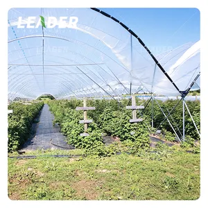 Agricultural commercial easy install roof film cover poly tunnel blueberry greenhouse garden caterpillar tunnel