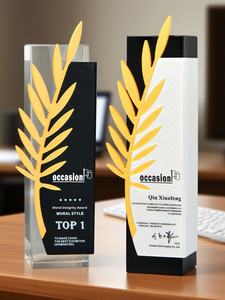 Trophée gravé en cristal personnalisé respectueux de l'environnement certificat créatif de haute qualité Champion compétition anniversaire 2025 nouvel an - Product Image 2