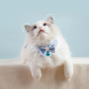 Lindo <span class=keywords><strong>collar</strong></span> decorativo de poliéster para gatos y perros con encaje de princesa azul y toalla de baba de campana con lazo - Product Image 3