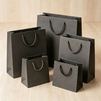Sac en papier noir de luxe avec poignées, logo imprimé en or, sacs cadeaux en papier noir personnalisables pour les promotions