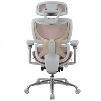 Chaise de bureau ergonomique Henglin Lone Warrior, réglable en hauteur, pivotante, chaise de jeu confortable pour longues sessions, inclinable, en plastique