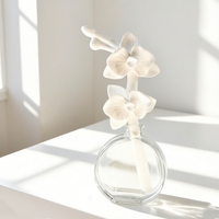 Diffuseur de parfum d'ambiance en coton tressé, fait main, en porcelaine et céramique, avec bouteille en verre de 100 ml, pour huiles essentielles et gypse aromatique