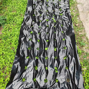<span class=keywords><strong>Film</strong></span> de paillage plastique pour l'agriculture, les fruits, les légumes, le maïs, les aliments pour animaux, utilisé pour le jardin, le maintien de l'humidité - Product Image 1