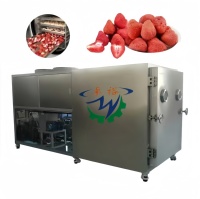 Lyophilisateur industriel Zhuoyu Shandong pour la déshydratation du lait et du lait de coco, en acier inoxydable, haute efficacité