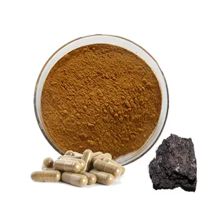 Suplemento herbal puro EXTRACTO DE shilajit del Himalaya en polvo ácido Fulvic 40% EXTRACTO DE shilajit natural