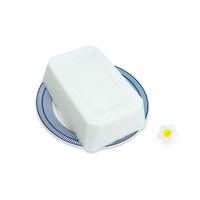 Cera de Soja Pura para Hacer Velas, Cera de Alta Calidad para Velas DIY, Cera de Soja Natural Ecológica para Proyectos de Manualidades, Velas Caseras