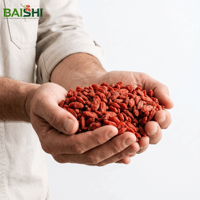 Baies de Goji Ningxia Première Récolte 230 Grains Vente en Gros Direct Usine Jumbo Séchées AD Sans Soufre Biologiques Qualité Supérieure Fournisseurs Santé