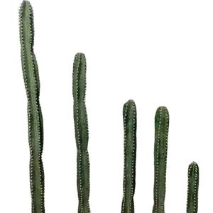 Plantas de <span class=keywords><strong>cactus</strong></span> de interior Bonsai Decoración del hogar Maceta de <span class=keywords><strong>cactus</strong></span> Planta verde artificial - Product Image 1