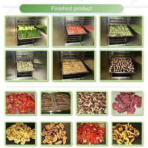 เครื่องอบแห้งอาหารสัตว์เลี้ยงประสิทธิภาพสูงแบบมอเตอร์ไฟฟ้าสแตนเลส สำหรับกุ้ง ปลา บิลตอง และปลิงทะเล - Product Image 4