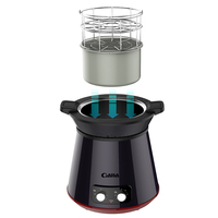 QANA Hot Kitchen, bouilloire électrique professionnelle, friteuse multifonction