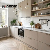 Cuisine moderne modulaire en contreplaqué avec placage PVC, armoire avec robinet, couleur personnalisable, design noir