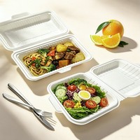 Conteneur alimentaire jetable biodégradable et écologique, boîte d'emballage alimentaire compostable personnalisée pour restaurant, vente en gros, événements et fêtes