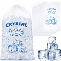 Sac à glace transparent avec cordon de serrage, grande capacité 20lb 25lb, sac d'emballage en plastique LDPE transparent pour la manipulation de glace en vrac