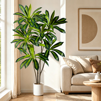 Tanaman Dracaena Real Touch Mewah dengan Pot Putih untuk Dekorasi Rumah Modern dan Lanskap Interior Kantor, Tersedia Pasokan Grosir
