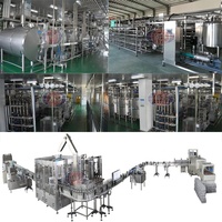 Línea de Procesamiento de Leche Industrial Automática de Alta Eficiencia, Línea de Producción de Productos Lácteos