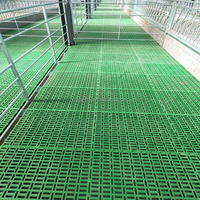 Plancher à lattes en HDPE à double nervure épaissi pour enclos à bétail (moutons et chèvres), emballage sur palette, neuf, certifié CE