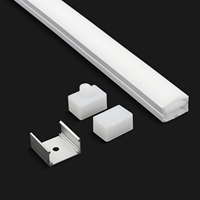 Lampe LED au néon de Noël 12V personnalisée avec corps de lampe carré en silicone IP67 pour décorations d'hôtel