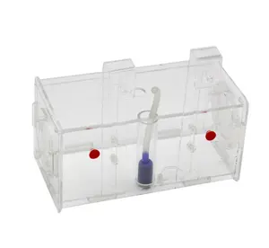 Perfect Fish Tank Divider Acclimation Box for Aggressive Fishes, Hatchery Incubator
