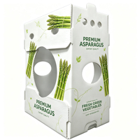 Emballage en plastique pour fruits, panneau creux en PP, boîte à fruits en Corflute, boîte en plastique Coroplast, boîte alimentaire ondulée pour légumes et fruits