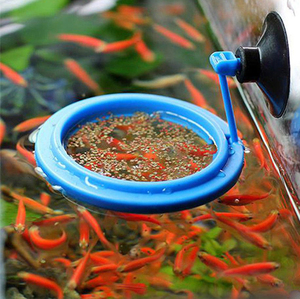 Acquario Fish Tank Floating Feeder Ring Square Round Blue Plastic Aquarium Fish Feeding Rings con ventose - Product Image 3
