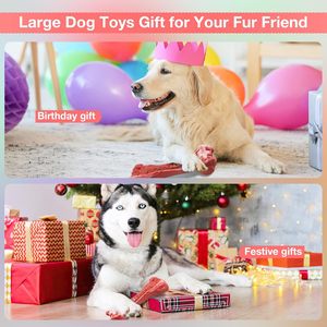 Eco-Friendly Rubber Squeaky <b>Ball</b> Bone Shape Durable <b>Dog</b> Chew Toy for Aggressive Chewers CE ROHS Certified - Product Image 6