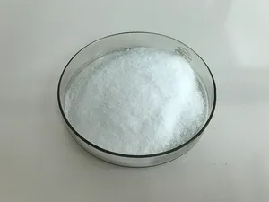 High Quality Gamma Aminobutyric Acid 99% GABA Powder Cas 56-12-2