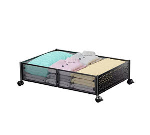 Scaffale Pieghevole, Organizzatore Mobile Sottoletto per Camera da Letto per Vestiti, Porta Abiti - Product Image 1
