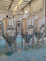 Fermenteur Conique Slim Cassman 500L en Acier Inoxydable 304 pour Bière avec Réservoir sous Pression, Pompe PLC et Enveloppe Glycolée – Haute Productivité