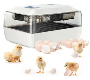 Atacado 24 ovo de galinha incubadora-Mini incubadora para ovos, mini incubadora de ovos para frango, incubadora pequena, automática 24