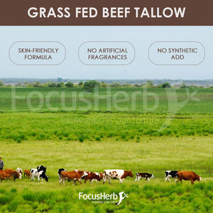 FocusHerb Baume de suif de bœuf nourri à l'herbe au miel de Manuka et à la cire d'abeille Crème de suif de bœuf halal - Product Image 6