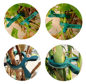 Clips de support pour plantes de tomates, clips de fixation en plastique pour légumes et fleurs, outils de jardinage en gros - Product Image 6