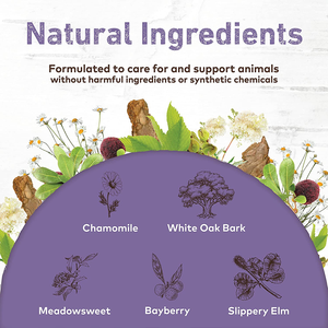 Productos herbales orgánicos para perros, limpieza del logotipo de la marca personalizada, para la salud Natural del perro, para la salud de las mascotas - Product Image 3