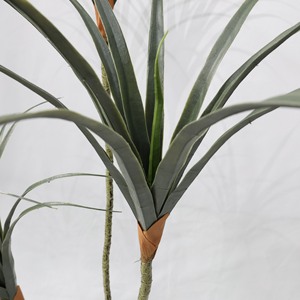Plante artificielle décorative en pot, haute simulation, à tige fine, type Arbre du sang du dragon, centenaire - Product Image 2