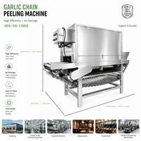 Máquina Procesadora de Ajo Personalizada SAIDASHI, Alta Tasa de Pelado 200-1000kg/h, con Compresor de Aire Certificado CE