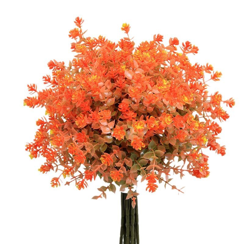 Couleurs automnales des fleurs californiennes en automne