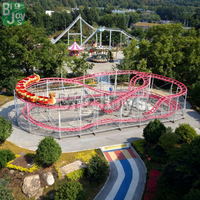 Montagnes russes Dragon Glissant pour 16 Personnes, Grand Équipement de Parc d'Attractions Extérieur pour Enfants et Adultes